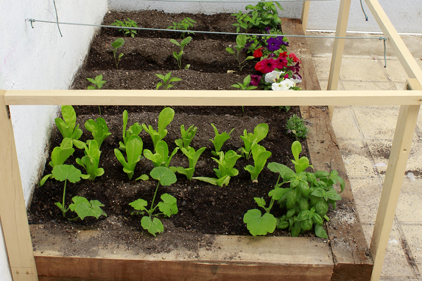 Red huertos escolares Fuenlabrada