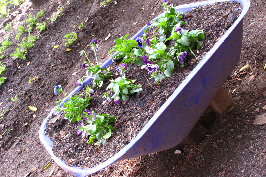 Red huertos escolares Fuenlabrada