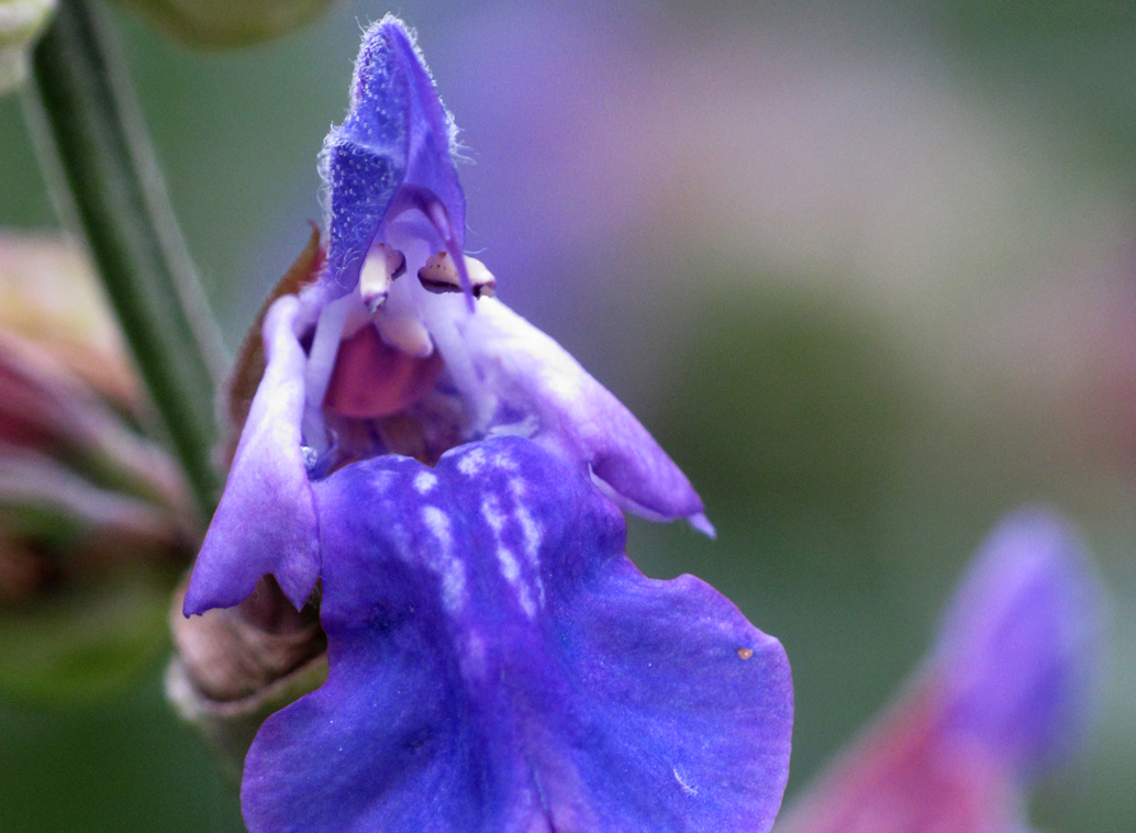 Productos, red de huertos de Fuenlabrada