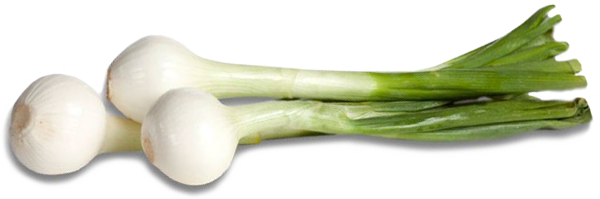 Productos, red de huertos de Fuenlabrada