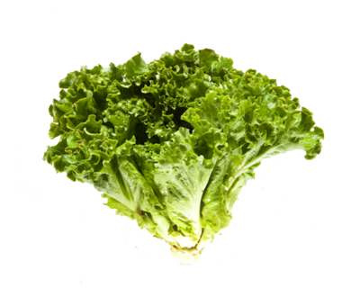 Productos, red de huertos de Fuenlabrada