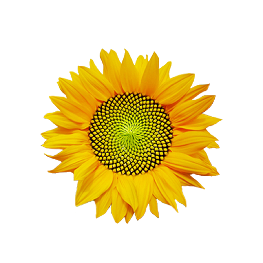 Productos, red de huertos de Fuenlabrada