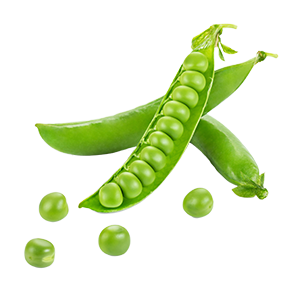 Productos, red de huertos de Fuenlabrada