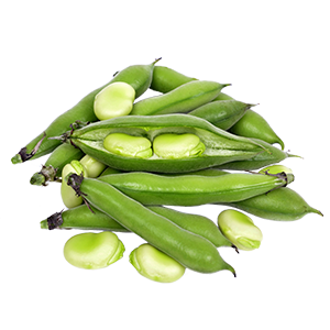 Productos, red de huertos de Fuenlabrada