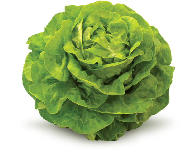 Productos, red de huertos de Fuenlabrada