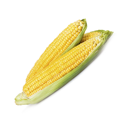 Productos, red de huertos de Fuenlabrada