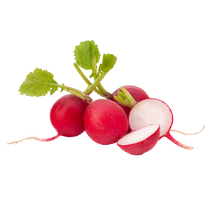 Productos, red de huertos de Fuenlabrada